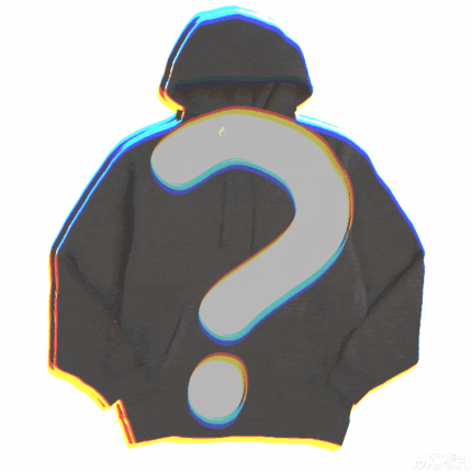 Mystery Hoodie
